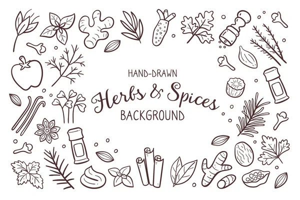 Hand Drawn Herbs Spices Background Food Ingredients Cooking Illustration Isolated — Stock Vector