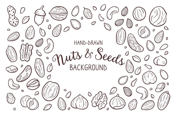 Hand Drawn Nuts Seeds Background Food Ingredients Cooking Illustration Isolated — Stock Vector