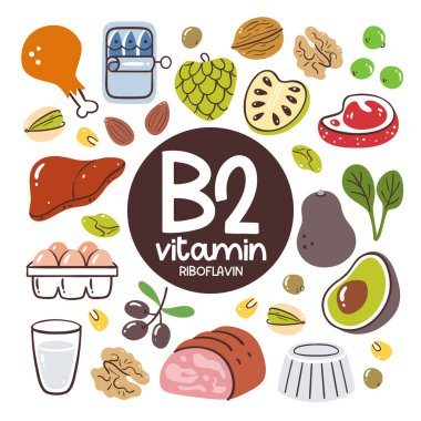 Yüksek seviyede B2 vitamini içeren gıda ürünleri (Riboflavin). Yemek malzemesi. Meyve, sebze, et, fındık, süt ürünleri.