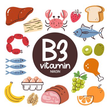 Yüksek seviyede B3 vitamini içeren gıda ürünleri (Niacin). Yemek malzemesi. Meyve, fındık, süt ürünleri, et, balık, yumurta.