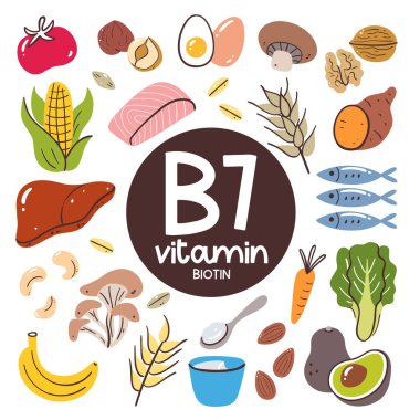 Yüksek seviyede B7 vitamini (biyotin) içeren gıda ürünleri. Yemek malzemesi. Meyveler, sebzeler, mantarlar, fındıklar, süt ürünleri, balık, ciğer.
