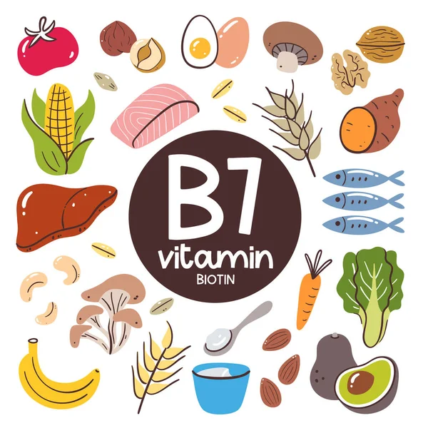 Productos Alimenticios Con Alto Nivel Vitamina Biotina Cocinar Ingredientes Frutas — Archivo Imágenes Vectoriales