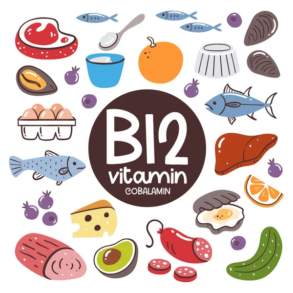 Produits Alimentaires Forte Teneur Vitamine B12 Cobalamine Fruits Mer Viande — Image vectorielle