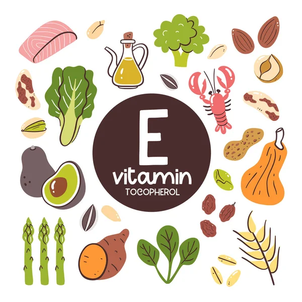 Produits Alimentaires Forte Teneur Vitamine Tocopherol Ingrédients Cuisson Fruits Mer — Image vectorielle