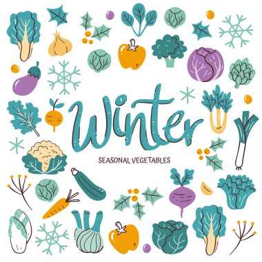 Mevsimlik sebzeler. Renkli el yapımı vektör simgelerinden oluşan kış sebzeleri, beyaz arka planda izole edilmiş..