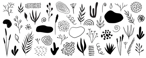 Organische Formen, Pflanzen, Punkte, Linien. Vektor-Set aus minimalen abstrakten, handgezeichneten, isolierten Elementen für grafisches Design — Stockvektor