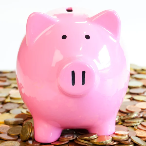 Piggy bank on coins — Stock Photo, Image