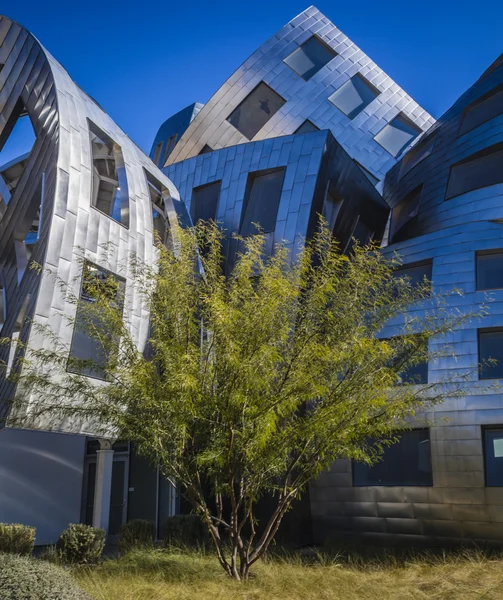 Cleveland clinic lou ruvo center pro zdraví mozku — Stock fotografie