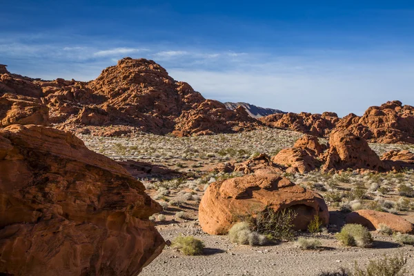 Dal med brannstatspark – stockfoto