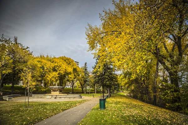 Sentiero attraverso il parco — Foto Stock