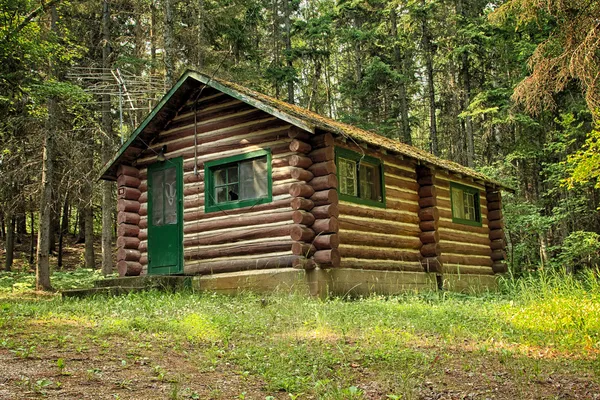 Timmerstuga i skogen — Stockfoto