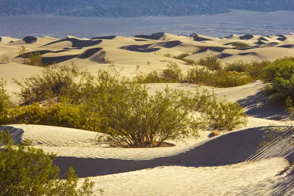 Dunas de arena en la mañana — Foto de Stock