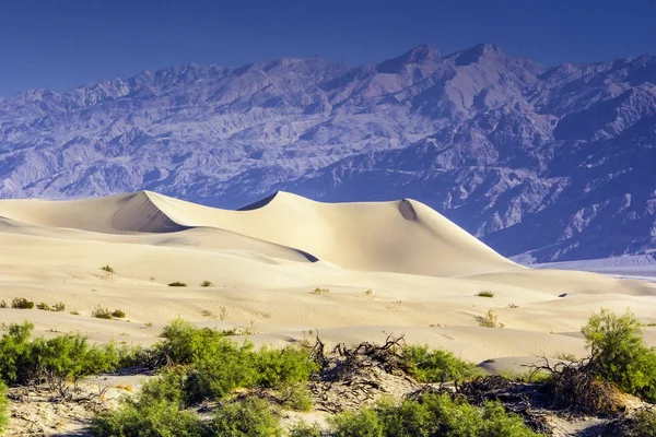 Wydmy piaskowe Doliny Śmierci — Zdjęcie stockowe