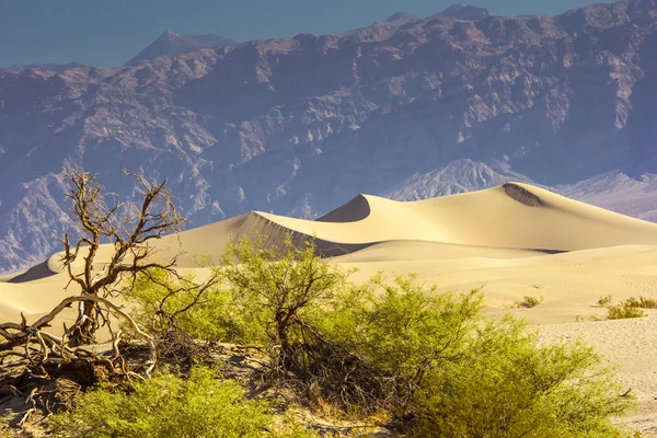 Death valley písečné duny — Stock fotografie