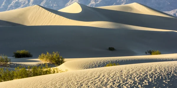 Death valley písečné duny — Stock fotografie