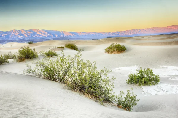 Death valley písečné duny — Stock fotografie