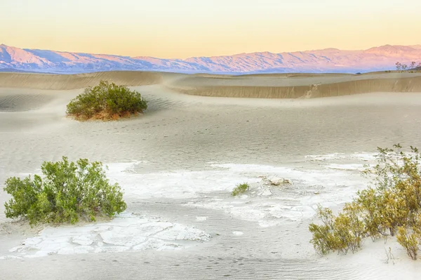 Dunas de arena Valle de la Muerte —  Fotos de Stock