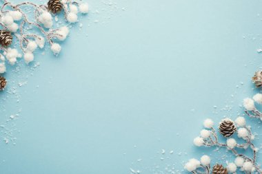 Yılbaşı dekorasyonlarının en üst görüntüsü. Karda kozalaklı kar dalları, izole edilmiş pastel mavi arka planda, kopyalanmış boşlukta.