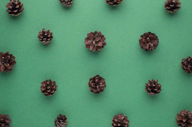 İzole edilmiş yeşil arkaplandaki çam kozalaklarının en üstteki görüntüsü