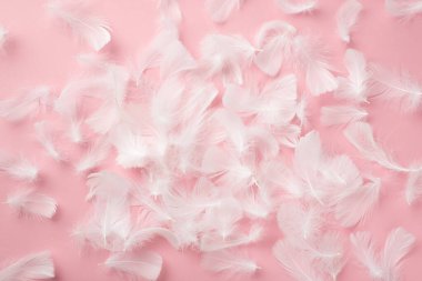 İzole edilmiş pastel pembe arkaplandaki açık pembe tüylerin fotosu.