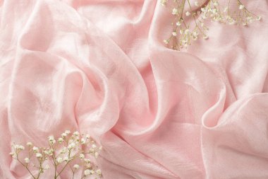 Çingenenin büyük ve güzel dallarının en üstteki fotoğrafı. Pastel pembe izole edilmiş ve tekstil arka planı boş.
