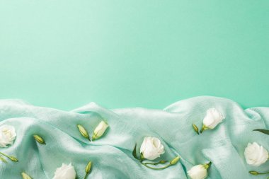 İzole edilmiş pastel turkuaz arka planda tekstil katlarına saçılmış güzel beyaz Eustoma 'ların en üstteki fotoğrafı.