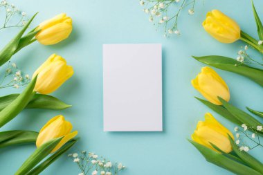 Sarı laleler, beyaz çingene ve kağıt çarşaflar, izole edilmiş pastel mavi arka plan ve boş alan.