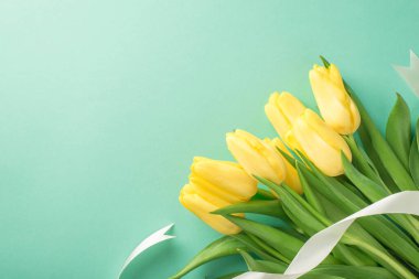 Sarı lalelerden oluşan bir buket ve izole edilmiş pastel mavi arka planda beyaz kurdele.