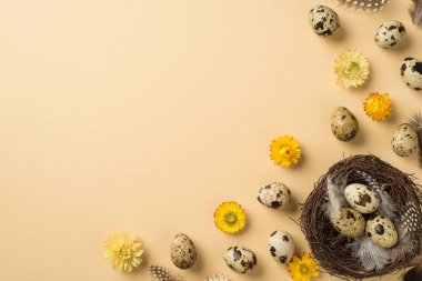 Birkaç yumurtanın üst görüntüsü yumuşak tüyler hasır yuva ve izole edilmiş bej arkaplanda bulunan sevimli sarı bej ve beyaz çiçekler boş alan
