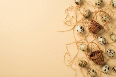 Kahverengi benekli birçok yumurtanın üst görüntüsü farklı boyutlarda ve bej izole edilmiş arka plan boşluğunun sağ tarafındaki samanların üzerine yerleştirilmiş iki küçük hasır sepet.