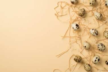 Kahverengi benekli birçok yumurtanın üst görüntüsü farklı boyutlarda ve çingenenin dalları bej izole edilmiş arka plan boşluğunda saman üzerinde yer almaktadır.