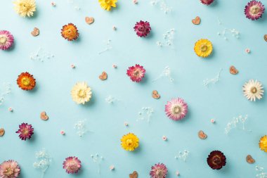 Bir çok farklı güzel çiçeğin ve kalp şeklinde küçük ahşap konfetilerin pastel açık mavi arkaplana saçılmış resimlerinin üst görüntüsü.