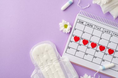 Takvim hijyenik pedlerinde kırmızı kalp işaretlerinin üst görüntüsü. Tamponlar ve izole edilmiş pastel mor arka planda papatya tomurcukları.