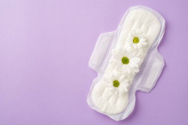 İzole edilmiş pastel menekşe arkaplan üzerinde papatya tomurcukları bulunan hijyenik yastığın üst görünümü