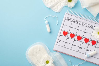 Takvim hijyenik pedlerinde kırmızı kalp izlerinin üst görünümü. Tamponlar ve izole edilmiş pastel mavi arka planda papatya tomurcukları.