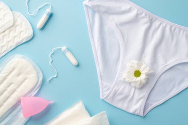 Papatya çiçeği tomurcuğu hijyen peçetesi, regl bardağı ve izole edilmiş pastel mavi arka planda tampon içeren beyaz pamuk klasik iç çamaşırının en üstteki fotoğrafı.