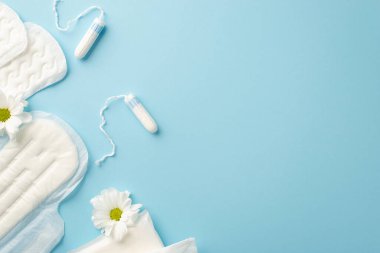 Üst görüntüde papatya tomurcukları hijyenik peçeteler ve tamponlar izole edilmiş pastel mavi arka planda boş alan