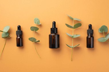 Cam pipet şişelerinin ve okaliptüslerin bej arka planda izole edilmiş en üstteki fotoğrafı.