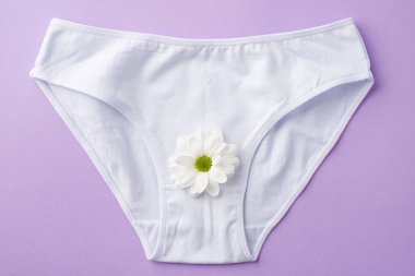 Üzerinde papatya tomurcuğu olan beyaz pamuklu klasik iç çamaşırının üst görünüm fotoğrafı.