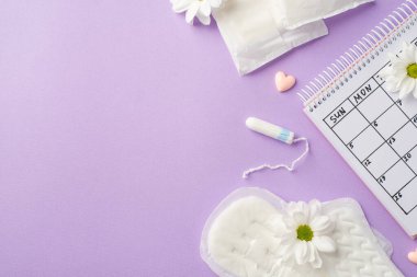 Takvim döneminin en üst görüntüsü tampon papatya tomurcukları ve izole edilmiş pastel eflatun arkaplanlı küçük kalpler