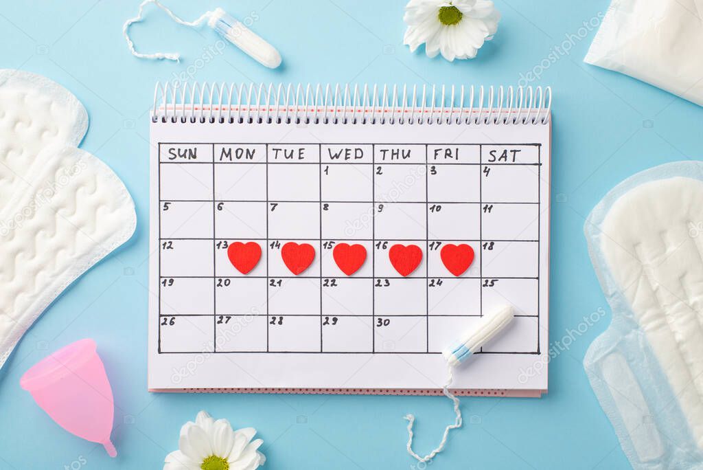 Top view photo of red heart marks on the calendar hygienic pads tampons pink menstrual cup and camomile buds on isolated pastel blue background