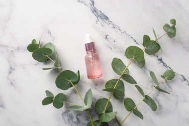 Doğal kozmetik konsepti. Beyaz mermer zemin üzerinde pembe şeffaf cam damlası şişesi ve okaliptüs üst manzara fotoğrafı
