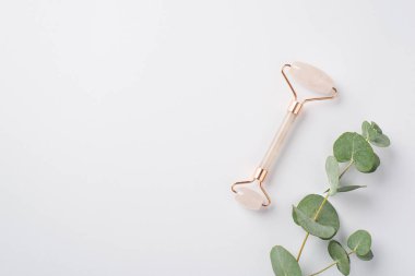 Cilt bakım prosedürü konsepti. İzole edilmiş beyaz arkaplan üzerinde gül kuvars silindiri ve okaliptüsün üst görünüm fotoğrafı