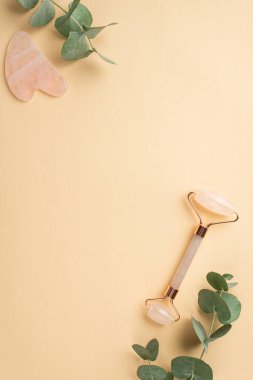 Güzellik prosedürü konsepti. Yalıtılmış pastel bej arka plan üzerinde gül kuvars gülü sha masajcı ve okaliptüs dikey fotoğraf ortada telif alanı