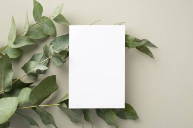 Business concept. Top view photo of paper sheet over eucalyptus on pastel grey background with blank space