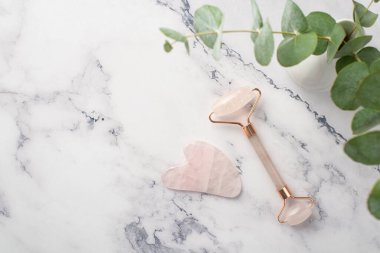 Okaliptüs gül kuvars silindiri ve gua sha 'nın beyaz mermer arka planda ve kopyalanmış