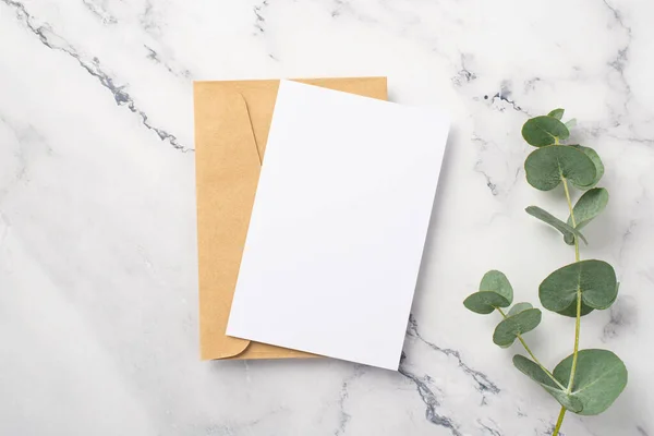 Top View Photo Craft Paper Envelope Paper Sheet Eucalyptus White — Stock Photo, Image