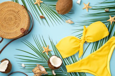 Yaz tatili kavramı. Hindistancevizi hindistan cevizi, deniz yıldızı kabukları sarı mayo ve izole edilmiş pastel arka planda palmiye yaprakları.