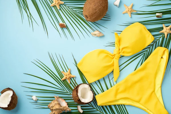 Yaz kavramı. Hindistan cevizlerinin, deniz yıldızlarının, sarı mayo ve palmiye yapraklarının izole edilmiş mavi arkaplanlarının en üst görüntüsü.