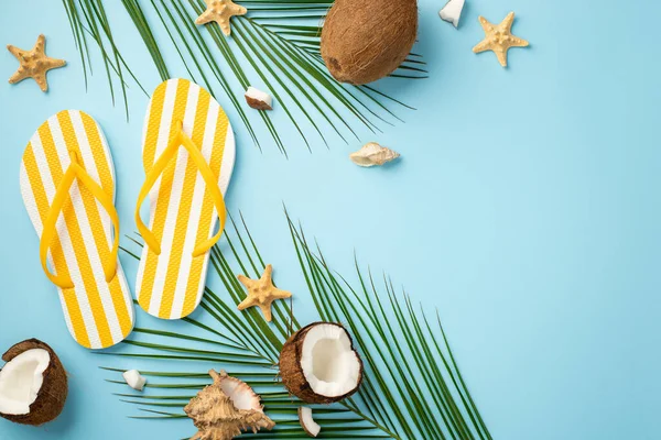 Yaz kavramı. Sarı çizgili parmak arası terliklerin, Hindistan cevizi deniz yıldızı kabuklarının ve izole edilmiş pastel mavi arka planda palmiye yapraklarının en üstteki fotoğrafı.